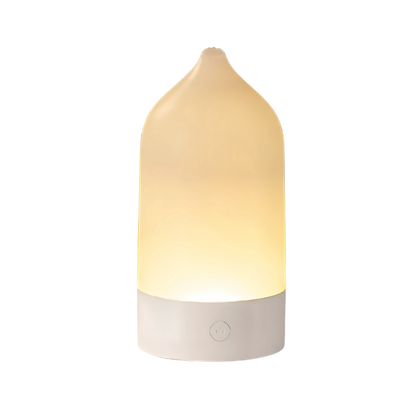 Vase Shaped Aroma Diffuser and Night Light (120ml)