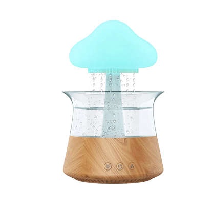 Rain Cloud Humidifier (300ml)